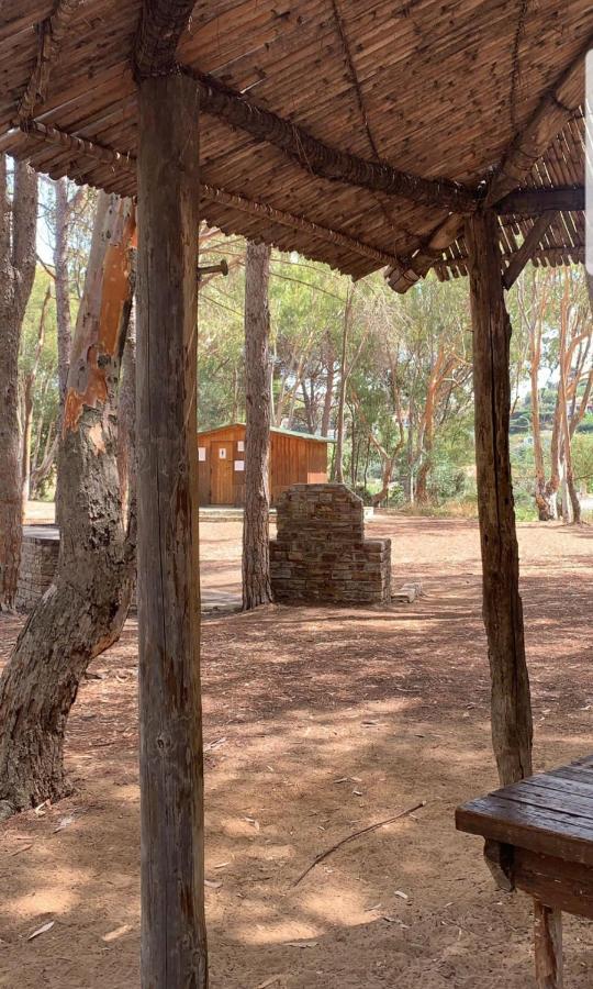 Casa Vacanza "Fortuna" 巴莱斯特拉泰 外观 照片